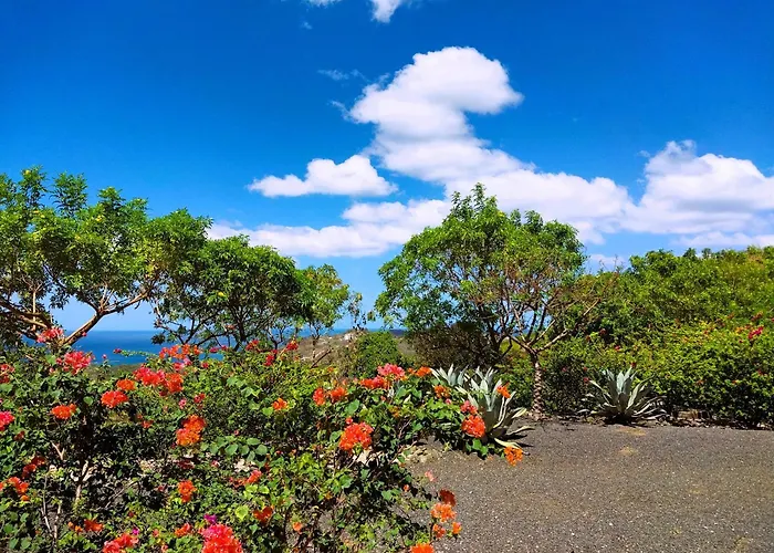 Casa De Iluminacion - Gorgeous 5-br Oceanview With Private Infinity Pool Villa *